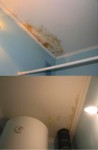 Как закрасить пятна на потолке и стенах? Профессиональное решение Sto