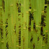 >> Бамбуковые обои зелёные с рисунком
